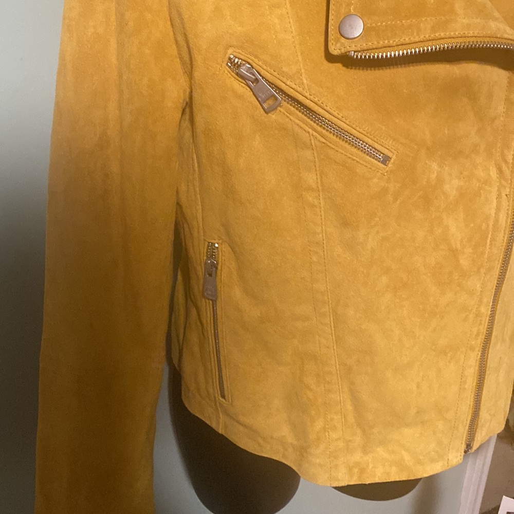 NWT BAGATELLE.NYC MOTO GOLD SUEDE JACKET - Picture 3 of 15